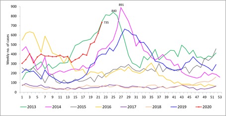 Weekly Dengue Trends